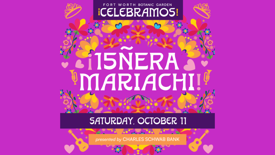 ¡Celebramos! Fiesta de Cultura Viva