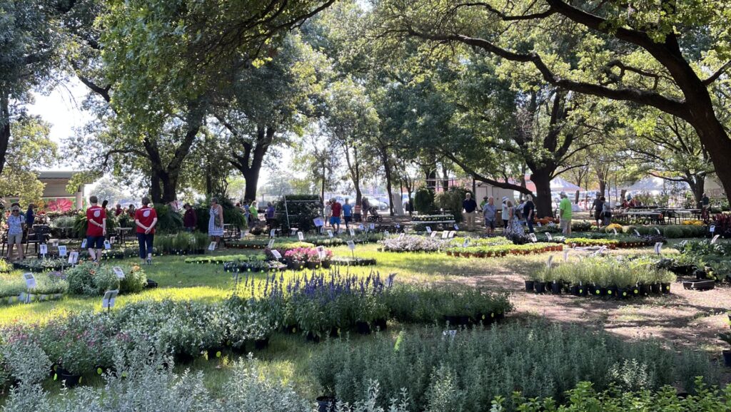 Shop the Fall Plant Sale to Bring Fabulous Fall Color to Your Garden