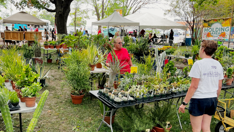 Fall Plant Sale: Members-Only Presale + 10% Discount