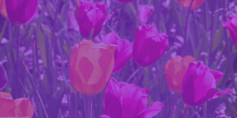 Membership Cyber Sale: 15% Off with Code CYBER15