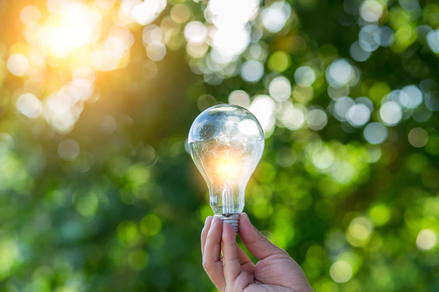 S.E.E.D. Camp: Nature Innovators (Ages 8-11)