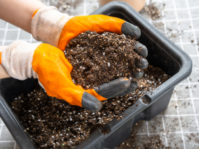 Soil Science for the Garden