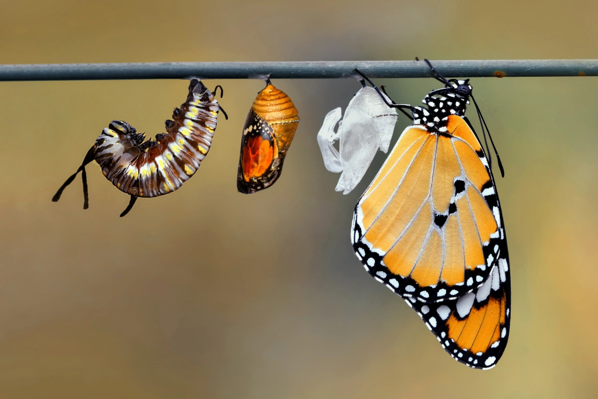 Homeschool Day: Butterflies in the Garden – March 9