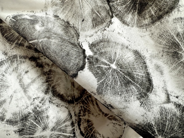 Creative Explorations: Tree Ring Prints