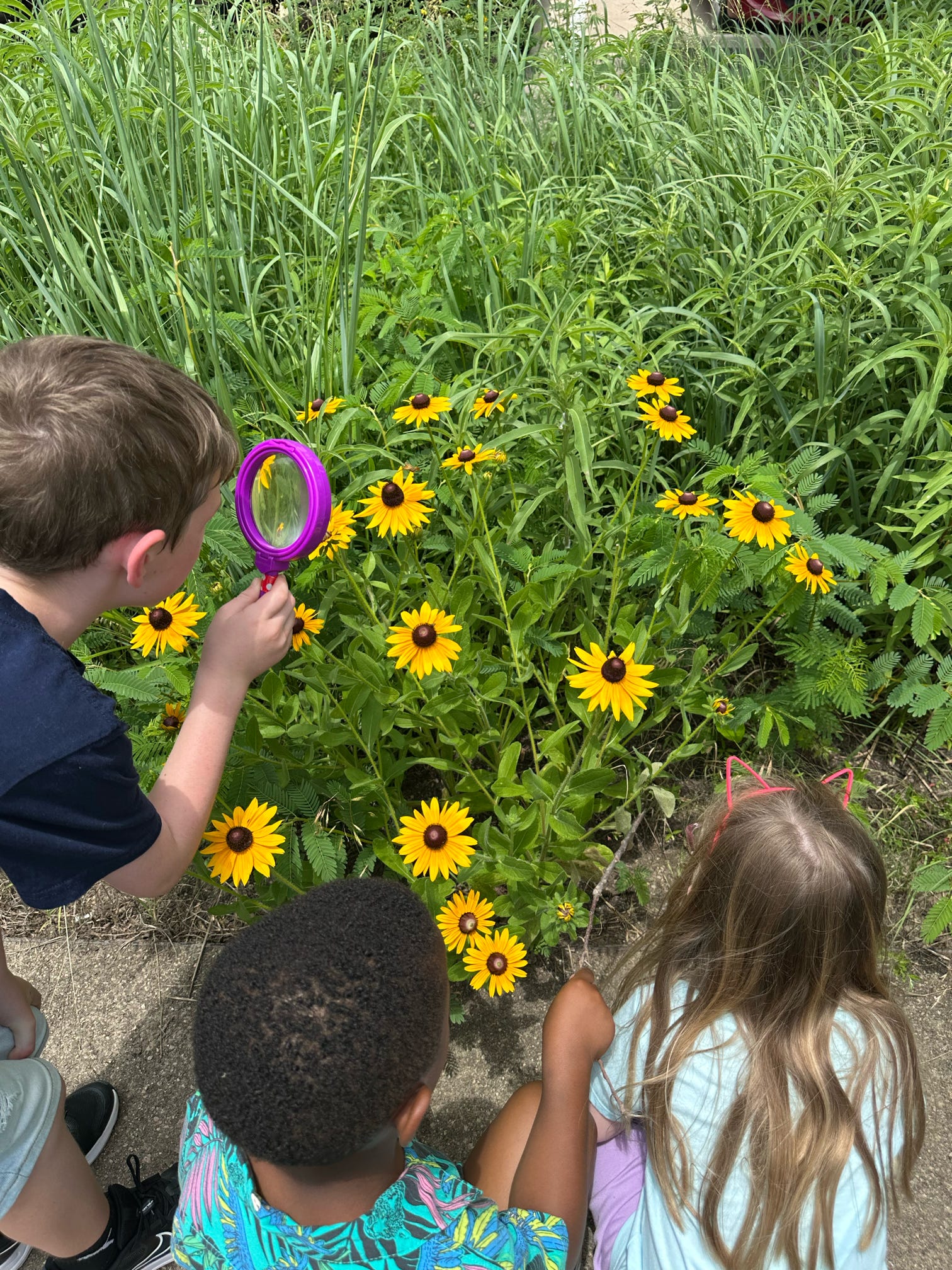 Member Early Access: Children & Family Programs