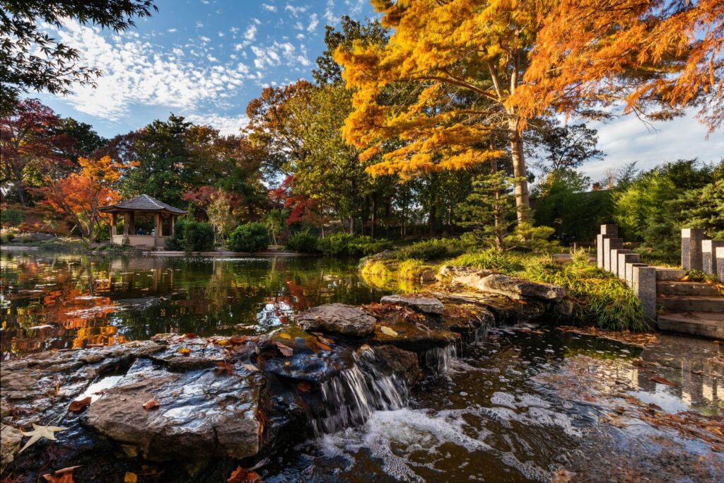Fort Worth Botanic Garden Earns the Nation’s Highest Museum Honor