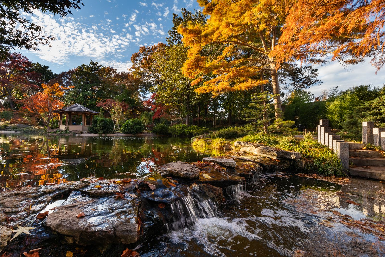 Fort Worth Botanic Garden Earns the Nation’s Highest Museum Honor
