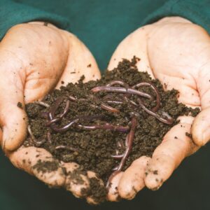 Two cupped hands hold a mound of dark, rich soil filled with earthworms.