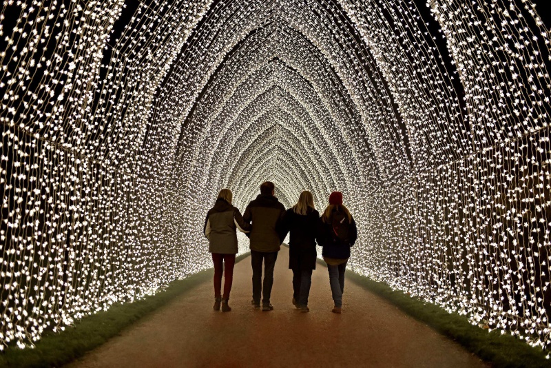 Christmas in the Garden